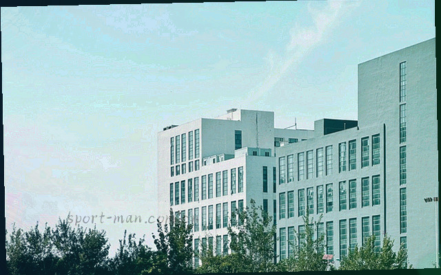 深蓝色书架形状与资料库图标表示存档